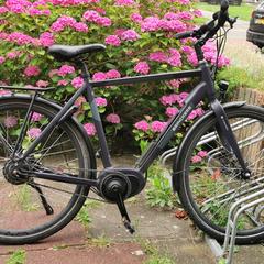 Fiets, ako bolo nahlásené iLost