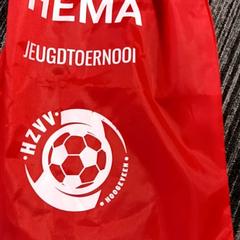 Sack Rood, gemeldet von Arriva Vechtdallijnen über iLost