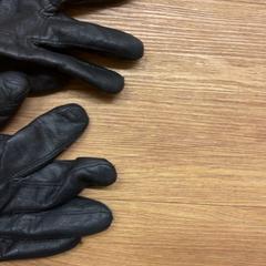 Luvas, como reportado por HTM utilizando o iLost