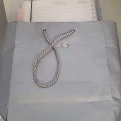 バッグ Grijs がiLostで Transdev Gooi en Vechtstreek によって報告されました