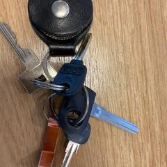 Portachiavi met o.a. 4 sleutels, come riportato da Gemeente Alkmaar utilizzando iLost