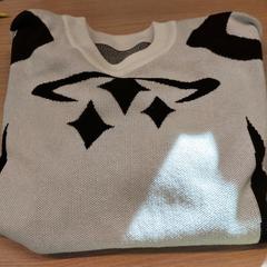 Kleding - Trui، كما تم الإبلاغ عنه بواسطة Centraal magazijn عبر iLost