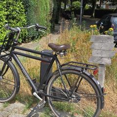 Fiets, come riportato a iLost