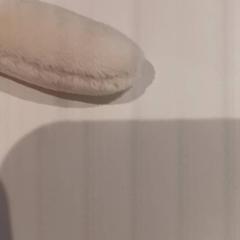 ぬいぐるみ がiLostで De Efteling によって報告されました