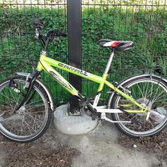 子供用自転車 Carratt 20makk groen-wit がiLostで Fietsdepot によって報告されました