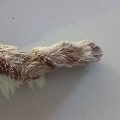 Peluche, ha sido reportado por De Efteling con iLost