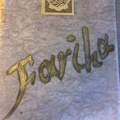 Koran, como reportado por Canisius-Wilhelmina Ziekenhuis utilizando o iLost