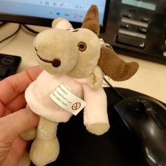 Doudou dodou, a été signalé par IKEA Toulon utilisant iLost