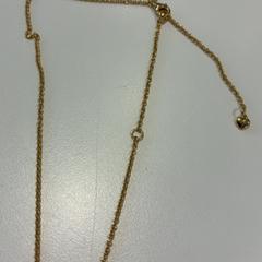 Colar Goudkleurige, como reportado por Gemeente Waalwijk utilizando o iLost