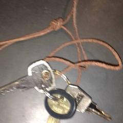 キーホルダー がiLostで TivoliVredenburg によって報告されました