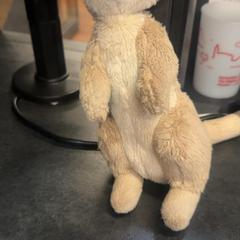 Knuffel, as reported by Rotterdam The Hague Airport using iLost