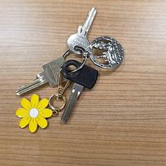 キーホルダー がiLostで RRReis Veluwe Zuid - Ede によって報告されました