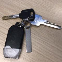 Claus, segons ha informat Gemeente Arnhem mitjançant iLost