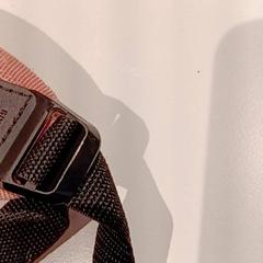 Taška, ako bolo nahlásené De Efteling pomocou iLost