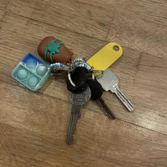 Sleutels, som rapporterats till iLost