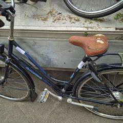 Damenrad, gemeldet von Gemeente Roermond über iLost