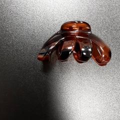 مشبك الشعر Bruin، كما تم الإبلاغ عنه بواسطة Arriva Vechtdallijnen عبر iLost