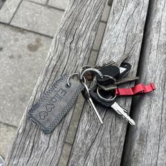 Sleutelbos, segons s'ha informat a iLost