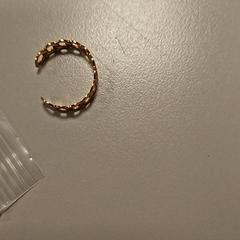 İLost kullanarak Vrije Universiteit Amsterdam tarafından bildirildiği gibi Yüzük