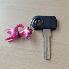 Fietssleutel roze hondje  Arriva Groningen trein, iLost-i jakinarazi zaion moduan