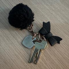 Llaves, ha sido reportado por EBS OV Poeldijk con iLost