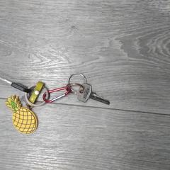 Sleutels がiLostで Hermes Eindhoven によって報告されました