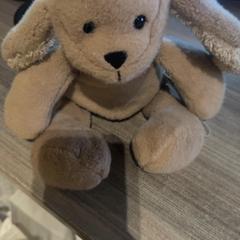 Knuffel, as reported by Van der Valk Hotel Haarlem using iLost