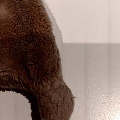 Plüss, amint azt De Efteling az iLost segítségével jelentette.