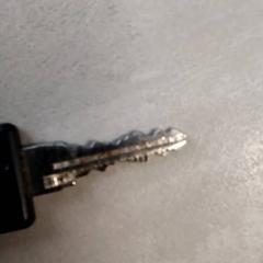 Key, as reported by Arriva Friesland / Groningen using iLost