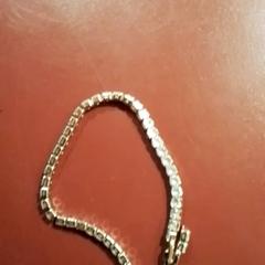 Bracelet Goudkleurig, as reported by Apenheul using iLost