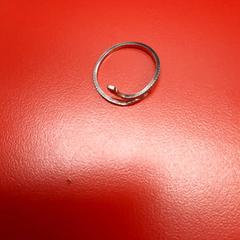 İLost kullanarak UvA REC tarafından bildirildiği gibi Yüzük