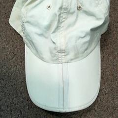 كاسكيت، كما تم الإبلاغ عنه بواسطة Burgers' Zoo عبر iLost