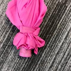 Paraplu Rose, zoals gemeld door Arriva Vechtdallijnen met iLost