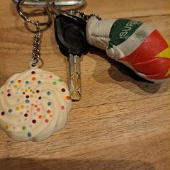 Fiets sleutel، كما تم الإبلاغ عنه عبر iLost