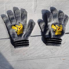 Rukavice Grijs pikachu, jak nahlášeno DierenPark Amersfoort pomocí iLost