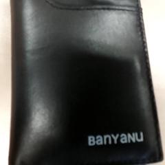 Card holder, as reported by Regio Antwerpen - Brussel using iLost