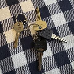 Sleutelbos, jak bylo nahlášeno na iLost