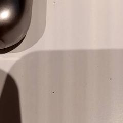 Earpods, zoals gemeld door De Efteling met iLost