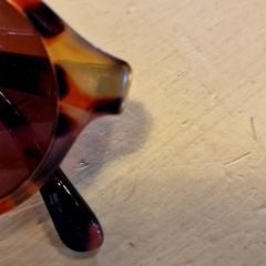 Zonnebril Bruin, zoals gemeld door Avonturenboerderij Molenwaard met iLost