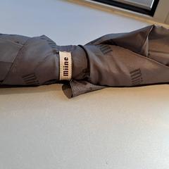Umbrella, as reported by Madurodam using iLost