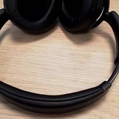 Auriculares Zwart, segundo informou Qbuzz Fryslân usando iLost