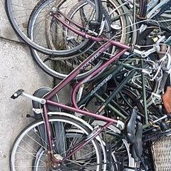 Dámsky bicykel Giant, ako bolo nahlásené Stadswerk072 pomocou iLost