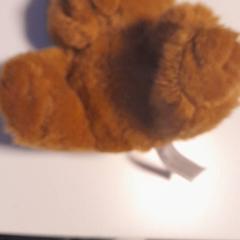 Knuffel Teddy beer