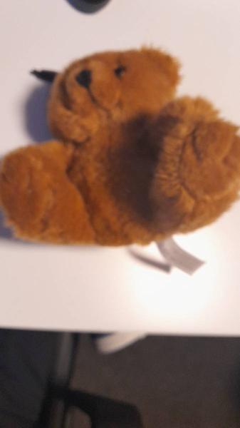 Knuffel Teddy beer