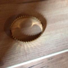 Gouden armband, segundo informou Attractie- & Vakantiepark Slagharen usando iLost