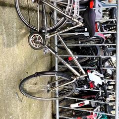 Herrenfahrrad Batavus, gemeldet von Stadswerk072 über iLost