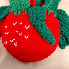 Sac fraise, segons ha informat IKEA Toulouse mitjançant iLost