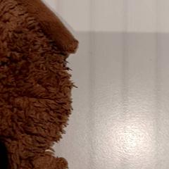 Plyšová hračka, ako bolo nahlásené De Efteling pomocou iLost