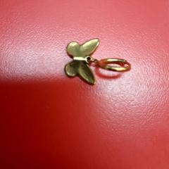 Oorbel, zoals gemeld door UvA REC met iLost