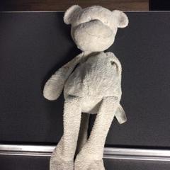 Kuscheltier, gemeldet von Breng Nijmegen über iLost